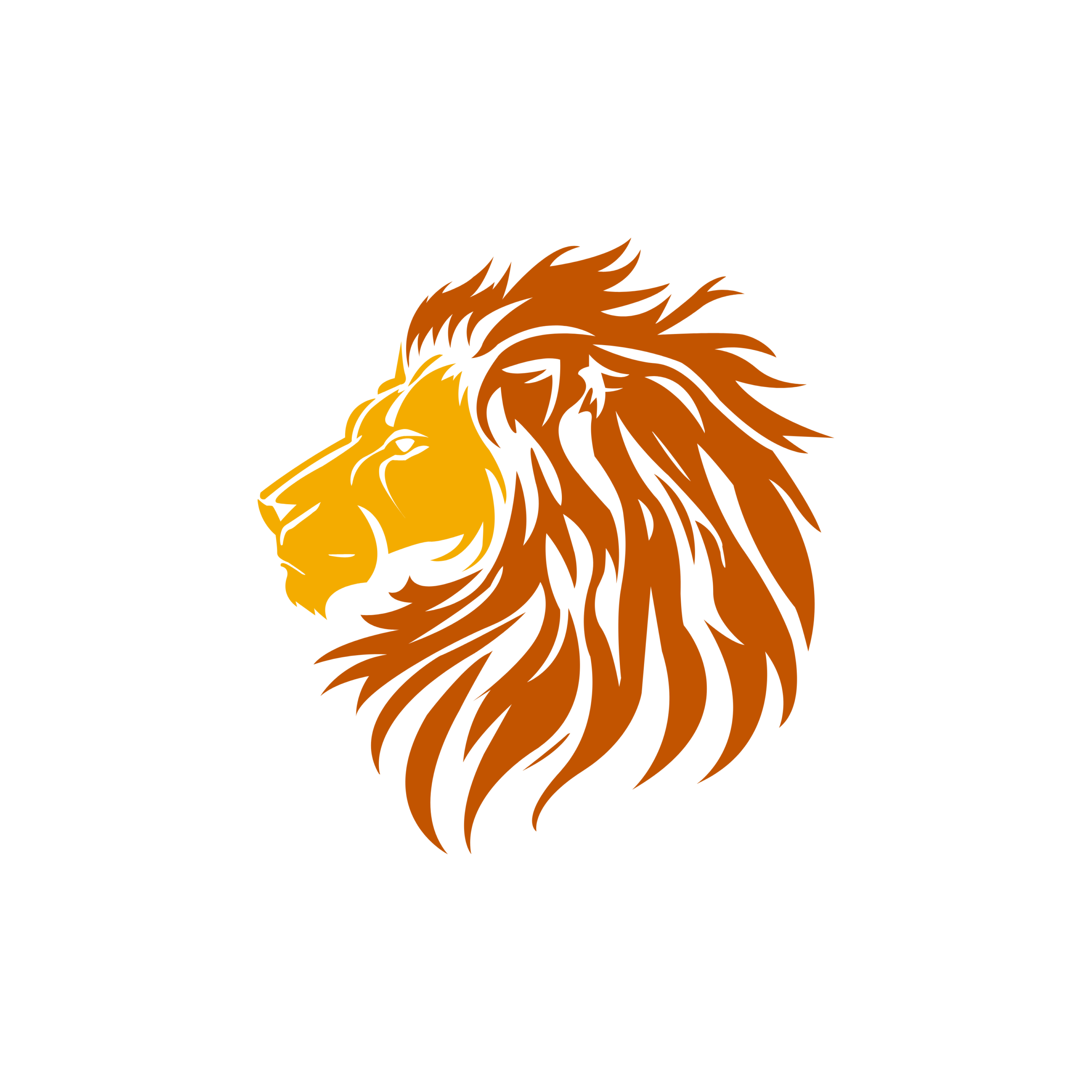 Best Digital Marketer-salmanulfariskk-webp best digital marketer